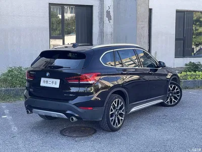 2020 BMW X1 xDrive25Li Premium Edition, фото 3, лот 10465110