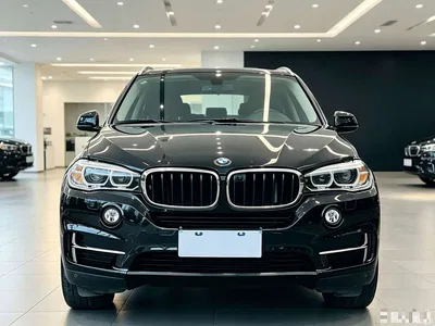 2018 BMW X5 (Import) xDrive28i, фото 2, лот 10396141