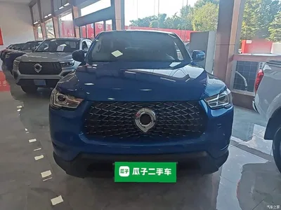 2021 Great Wall Pao 2.0T Commercial Edition Automatic Diesel 2WD Elite Long Box GW4D20M, фото 3, лот 10246298