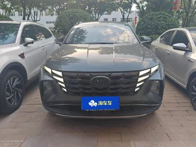2023 Hyundai Tucson L 1.5T Automatic 2WD LUX Premium Edition, фото 2, лот 10615844