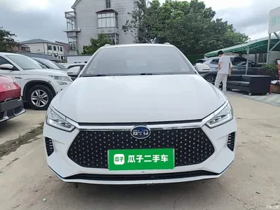 2021 BYD e2 Luxury Edition, фото 3, лот 10267491