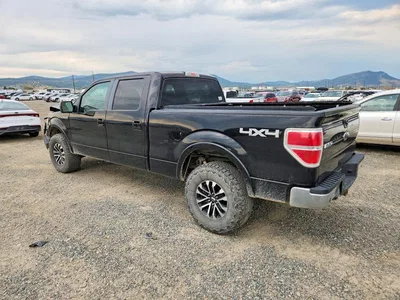 2009 FORD F-150, фото 2, лот 10982757