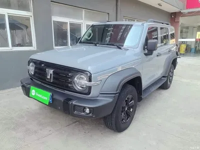 2024 Tank 300 Model 2.0T Challenger, фото 2, лот 10440954