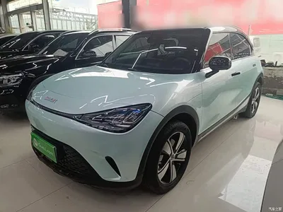2024 smart Elf #1 Agile Standard Edition, фото 2, лот 10768027