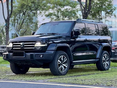 2024 Tank 300 2.0T Explorer, фото 1, лот 10344909