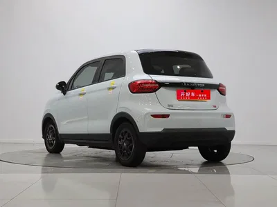 2023 Leapmotor T03 403 Smart Edition, фото 4, лот 10316392