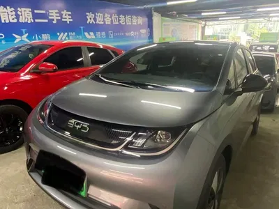 2023 BYD Dolphin 420km Fashion Edition, фото 3, лот 10435352