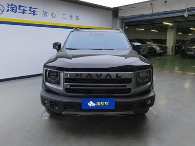 2024 Haval Big Dog 1.5T DCT Border Collie Edition, фото 2, лот 10361776