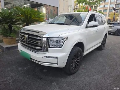 2022 Tank 500 3.0T Sport Edition Zaojing 5-Seater, фото 1, лот 11220723