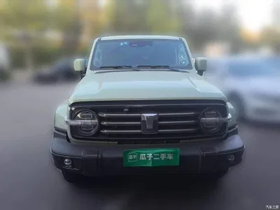 2021 Tank 300 Urban Edition 2.0T Stylish, фото 2, лот 11584903