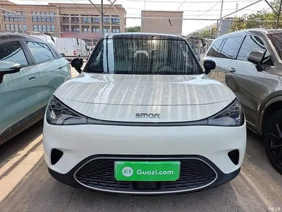 2022 smart Elf #1 Premium Edition, фото 3, лот 10605322
