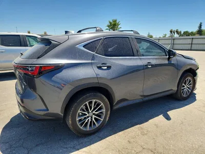 2025 LEXUS NX 350H PREMIUM, фото 3, лот 10906104