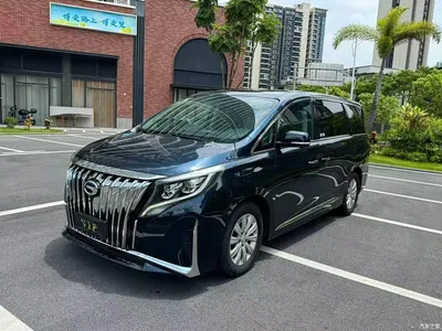 2020 GAC Trumpchi Trumpchi M8 Pilot 390T Premium Edition, фото 1, лот 10419883