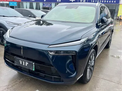 2023 WEY Lanshan AWD Ultra Long Range Edition, фото 3, лот 11178333