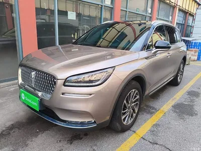 2020 Lincoln Adventurer 2.0T 2WD Premium Elegance Edition, фото 2, лот 10886679