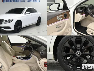 2019 Mercedes-Benz E-Class E220d 4MATIC Exclusive, фото 1, лот 11270869