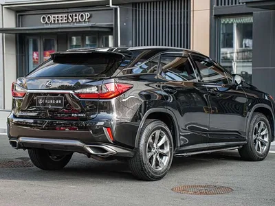 2016 Lexus RX 300 2WD Comfort Edition China V, фото 4, лот 10317481