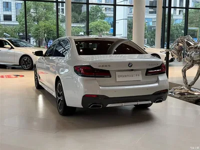 2022 BMW 5 Series Facelift 530Li Premium M Sport Package, фото 3, лот 11448994