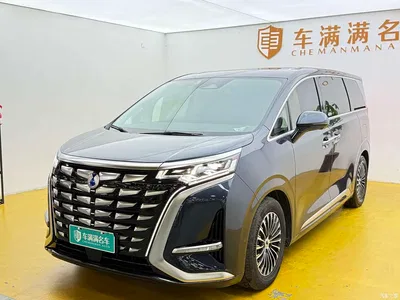 2024 Denza D9 DM-i 980 AWD Flagship, фото 1, лот 10842009