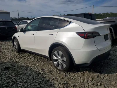 2023 TESLA MODEL Y, фото 2, лот 10801240
