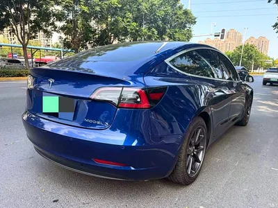 2020 Tesla Model 3 Standard Range Rear-Wheel Drive Upgrade, фото 3, лот 10368936