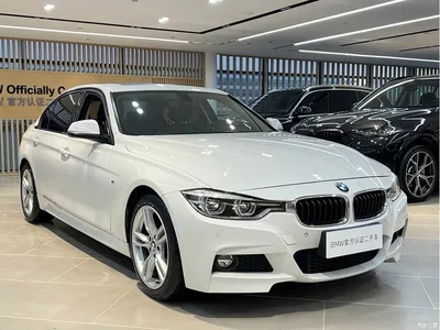2019 BMW 3 Series 320Li M Sport Package, фото 3, лот 11007950