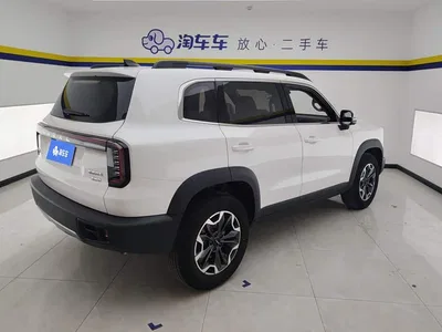2024 Haval Big Dog 2.0T DCT Chinese Rural Dog Edition, фото 3, лот 10361798