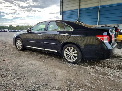 2010 LEXUS ES 350, фото 2, лот 10664638