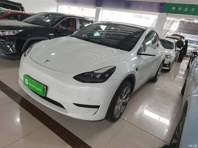 2022 Tesla Model Y Facelift Rear-Wheel Drive Version, фото 1, лот 11448841