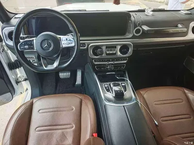 2019 Mercedes-Benz G-Class G 500, фото 4, лот 10261906
