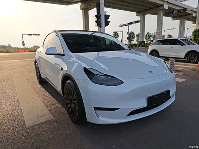 2021 Tesla Model Y Standard Range Rear-Wheel Drive, фото 4, лот 11096338