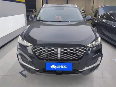 2021 WEY VV6 2.0T 2WD Smart Protection+, фото 2, лот 10448759