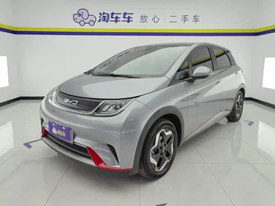 2021 BYD Dolphin Model 405km Fashion Edition, фото 2, лот 11240996