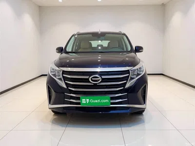 2021 GAC Trumpchi Trumpchi M8 Leading Show Series 390T Prestige Edition, фото 2, лот 10387778