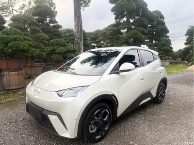 2024 BYD Seagull Glory Edition 305km Freedom Edition, фото 1, лот 10256673