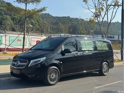 2020 Mercedes-Benz Vito 2.0T Business Edition (7-seater), фото 1, лот 10278950