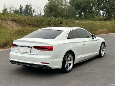 2017 Audi A5 (Import) Coupe 40 TFSI Style, фото 4, лот 11134032