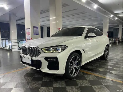 2020 BMW X6 xDrive40i Exclusive M Sport Package, фото 1, лот 11136496