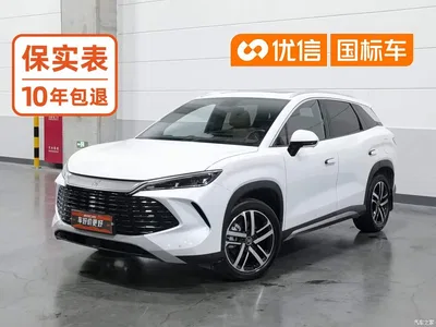 2024 BYD Song L DM-i 112km Leading Edition, фото 1, лот 10274099