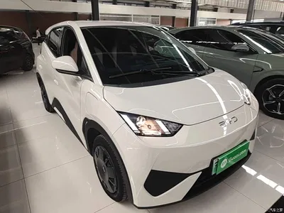 2025 BYD Seagull Smart Drive Edition 305km Vitality Version, фото 4, лот 10262793