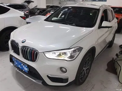 2019 BMW X1 xDrive20Li Premium Model, фото 2, лот 10467823