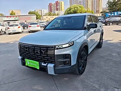 2023 Chery Tansuo 06 Off-Road Edition 1.6T 4WD Explorer, фото 1, лот 11460548
