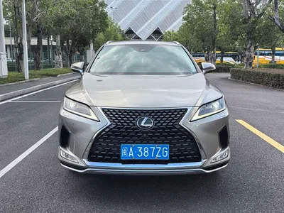2020 Lexus RX Facelift 300 2WD Comfort Edition, фото 2, лот 10313075