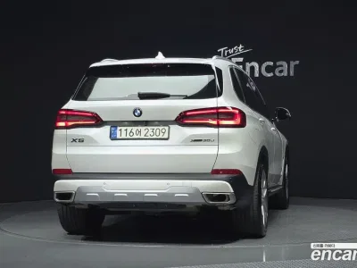 2019 BMW X5 xDrive 30d xLine, фото 4, лот 11264444