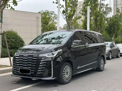 2025 SAIC Maxus Maxus G10 MAX 2.0T Automatic Flagship Edition Gasoline 7-Seater, фото 1, лот 11160872
