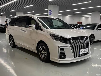 2021 Buick GL8 ES Landlord 653T Luxury, фото 3, лот 10769532