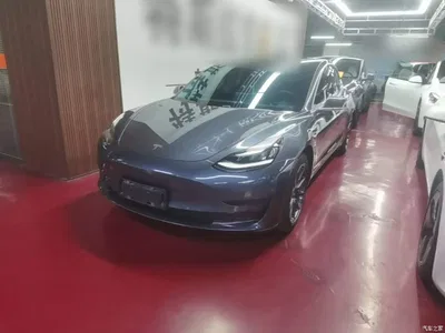 2020 Tesla Model 3 Standard Range Rear-Wheel Drive Upgrade, фото 1, лот 10463757