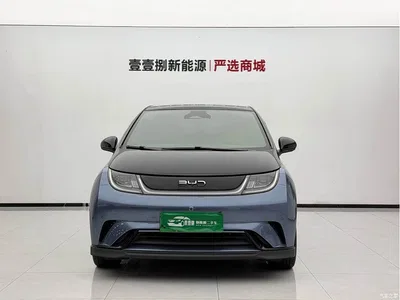 2025 BYD Dolphin 520km Knight Edition, фото 2, лот 10253313