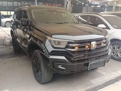 2024 Tank 400 New Energy Hi4-T Off-Road Edition, фото 4, лот 10593010