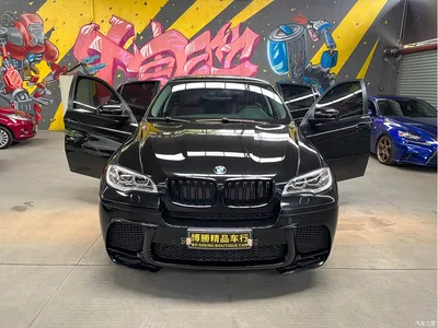 2009 BMW X6 xDrive35i, фото 2, лот 10468948